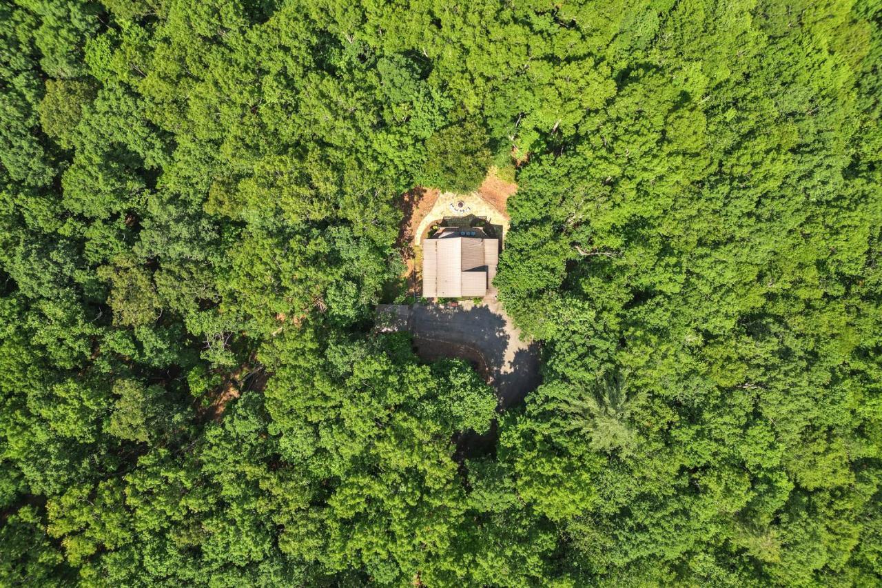 Bear Naked Bungalow ブルーリッジ山脈 エクステリア 写真