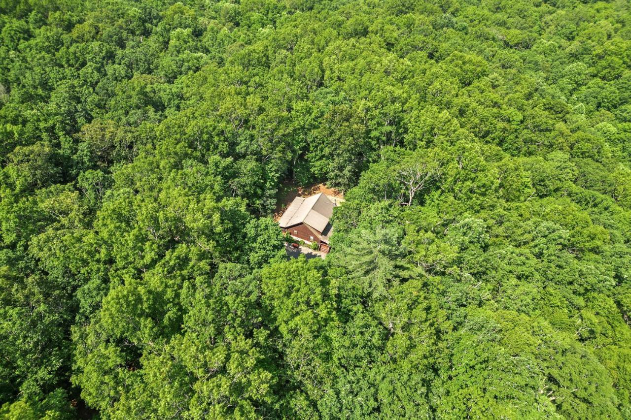 Bear Naked Bungalow ブルーリッジ山脈 エクステリア 写真
